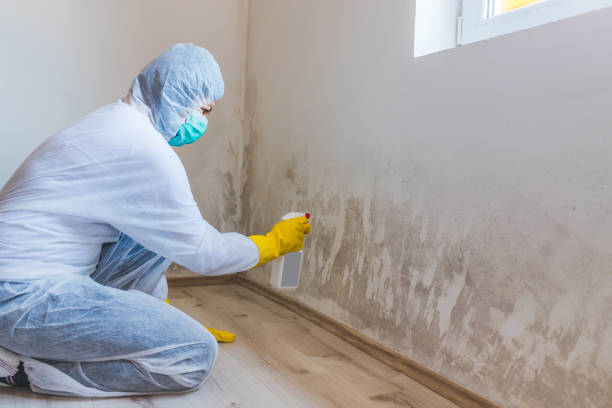Mold inspector in Patton performing thermal imaging